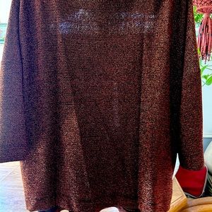 Brown glittered blouse new bought at Dillard